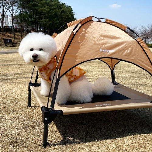 베드독 에이그라운드 강아지 텐트 애견텐트 캠핑 강아지집 의자 침대